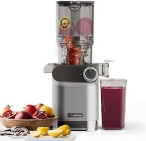 Anybear-200W-Slow-Masticating-Juicer