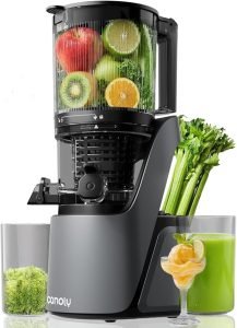 Canoly C16 Cold Press Juicer www.juicermania.com